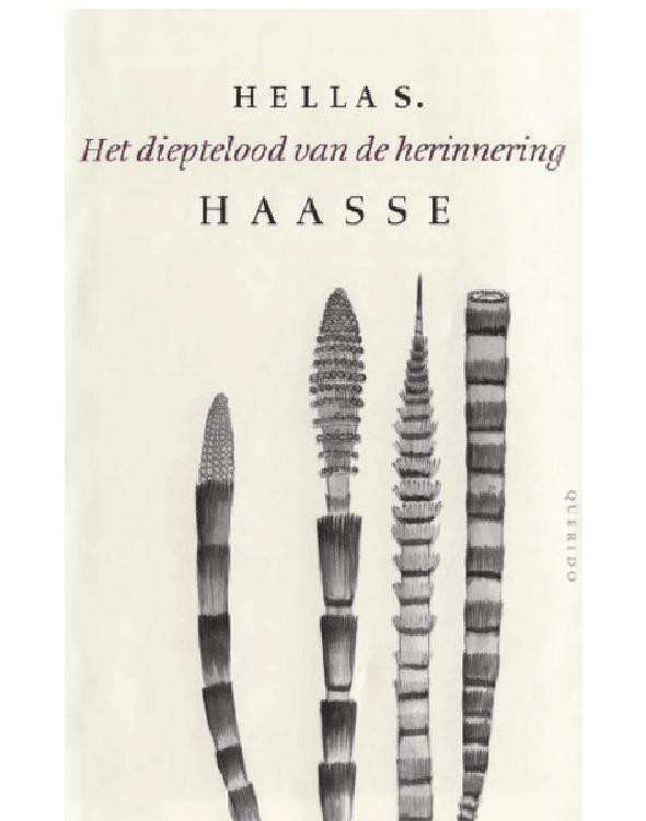 Het dieptelood van de herinnering