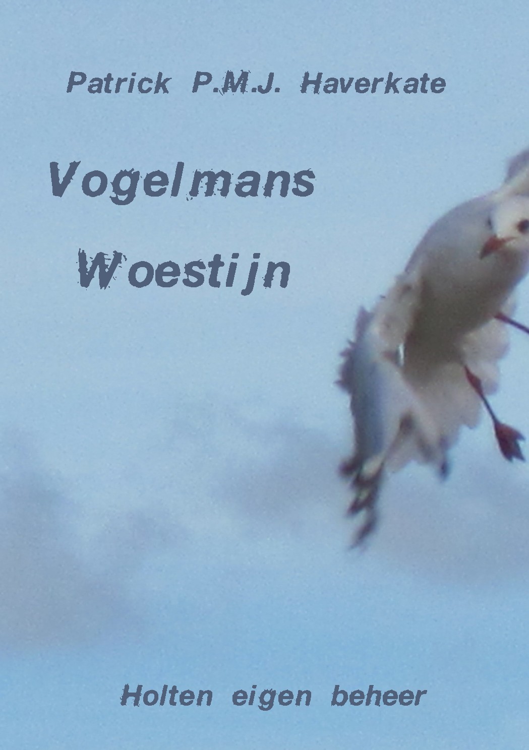 Vogelmans Woestijn