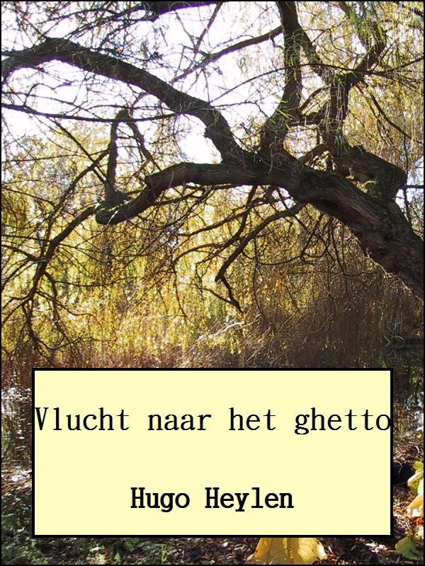 Vlucht naar het ghetto