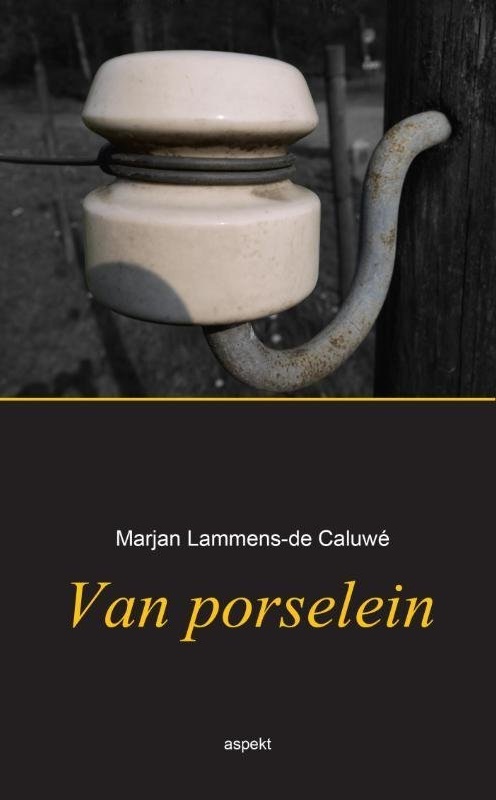 Van porselein