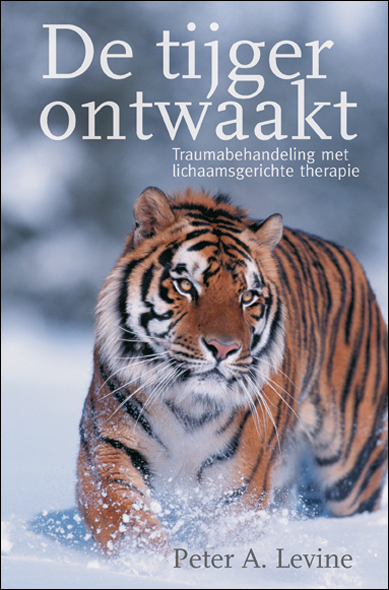 De tijger ontwaakt