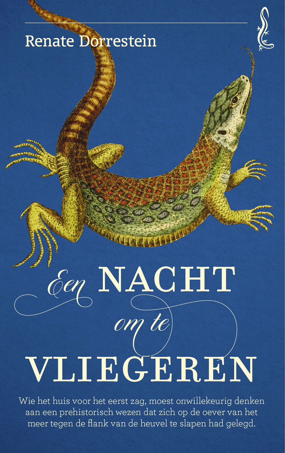 Een nacht om te vliegeren