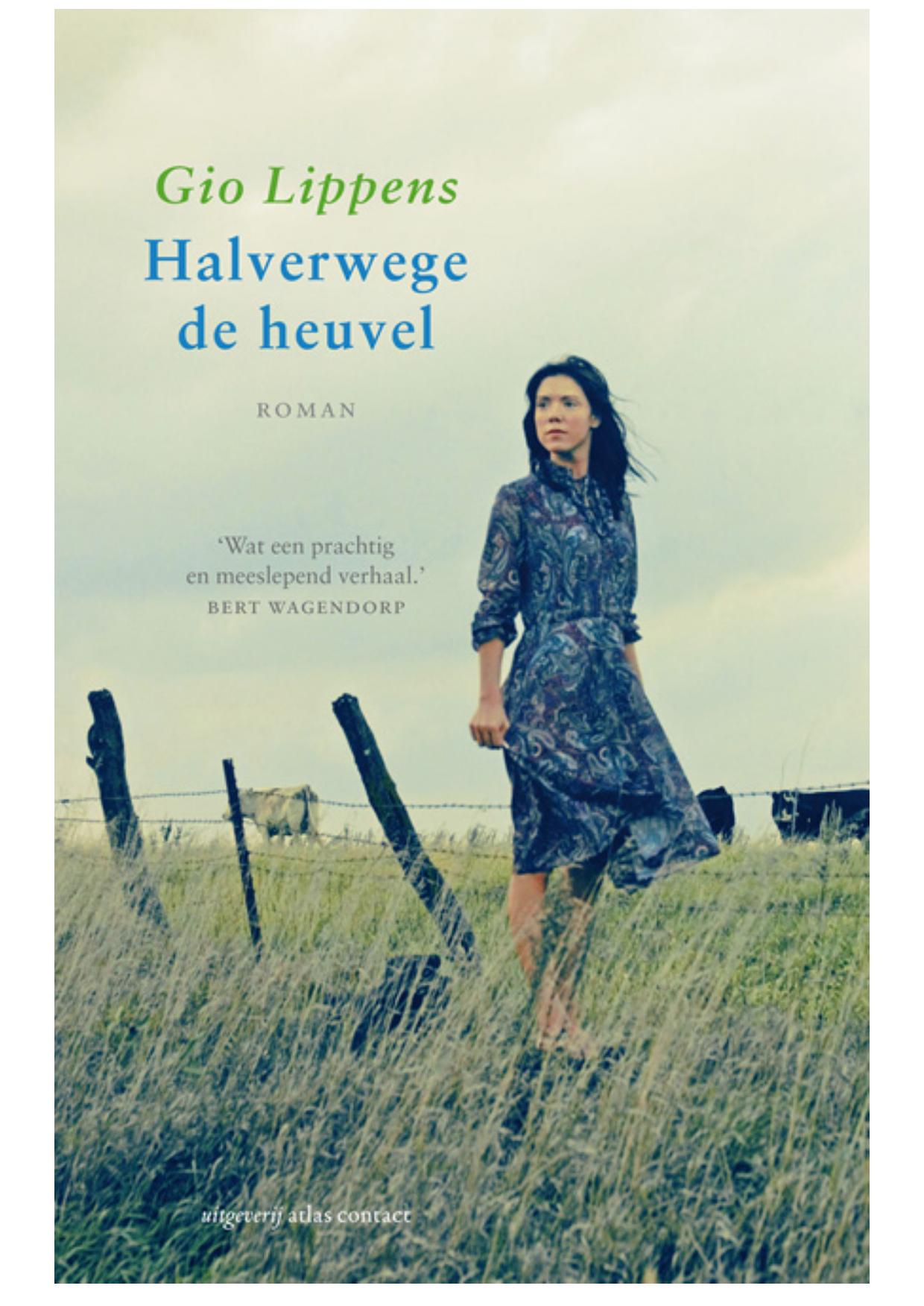 Halverwege de heuvel