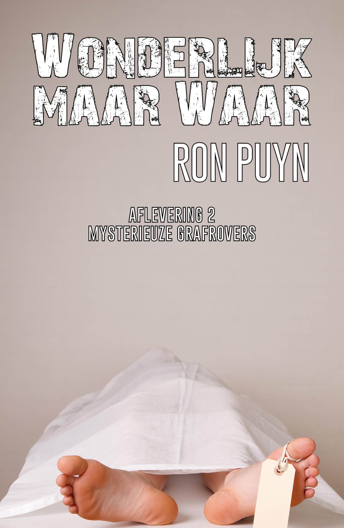 Wonderlijk maar waar Mysterieuze Grafrovers Ron Puyn