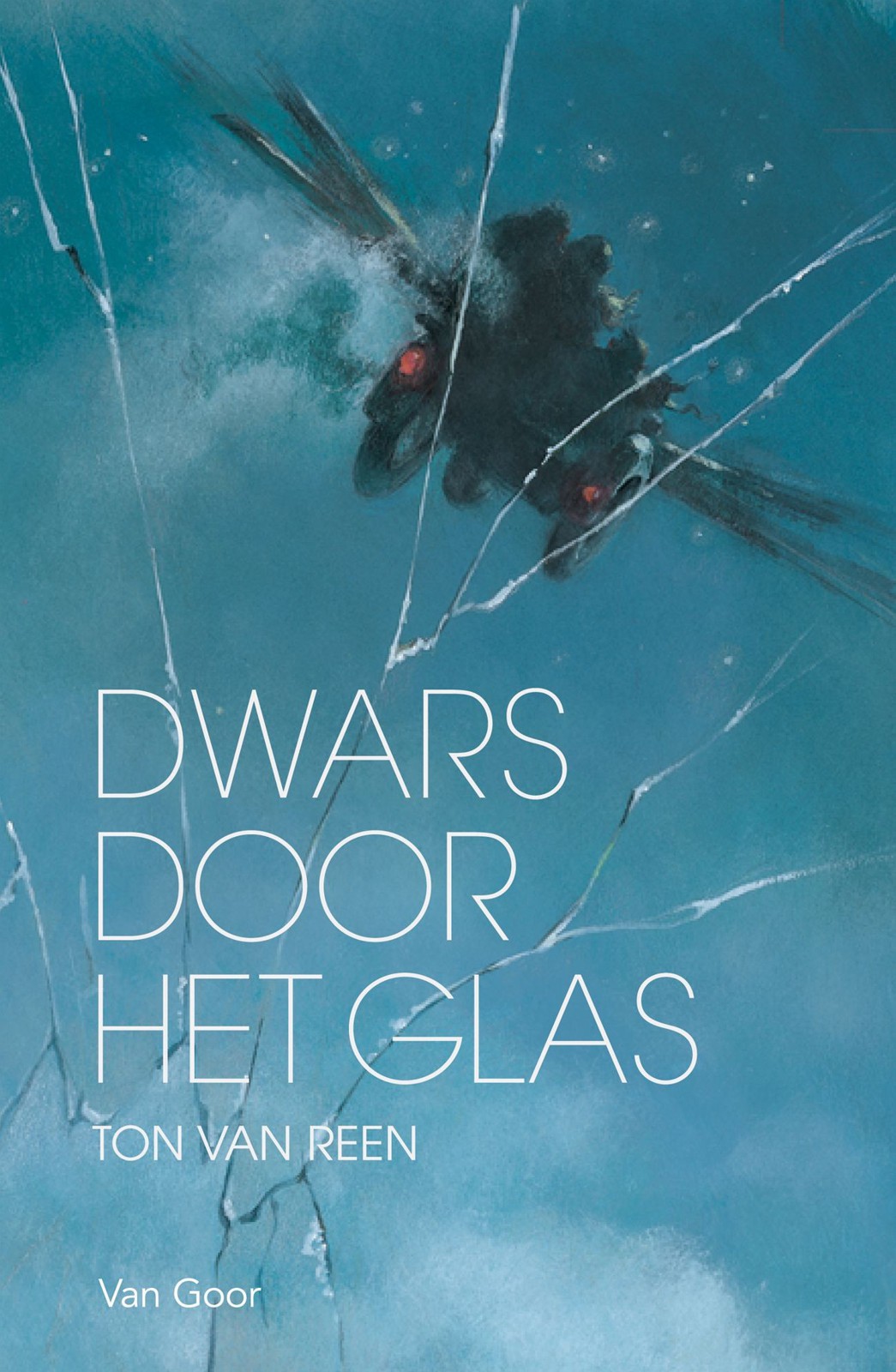 Dwars door het glas