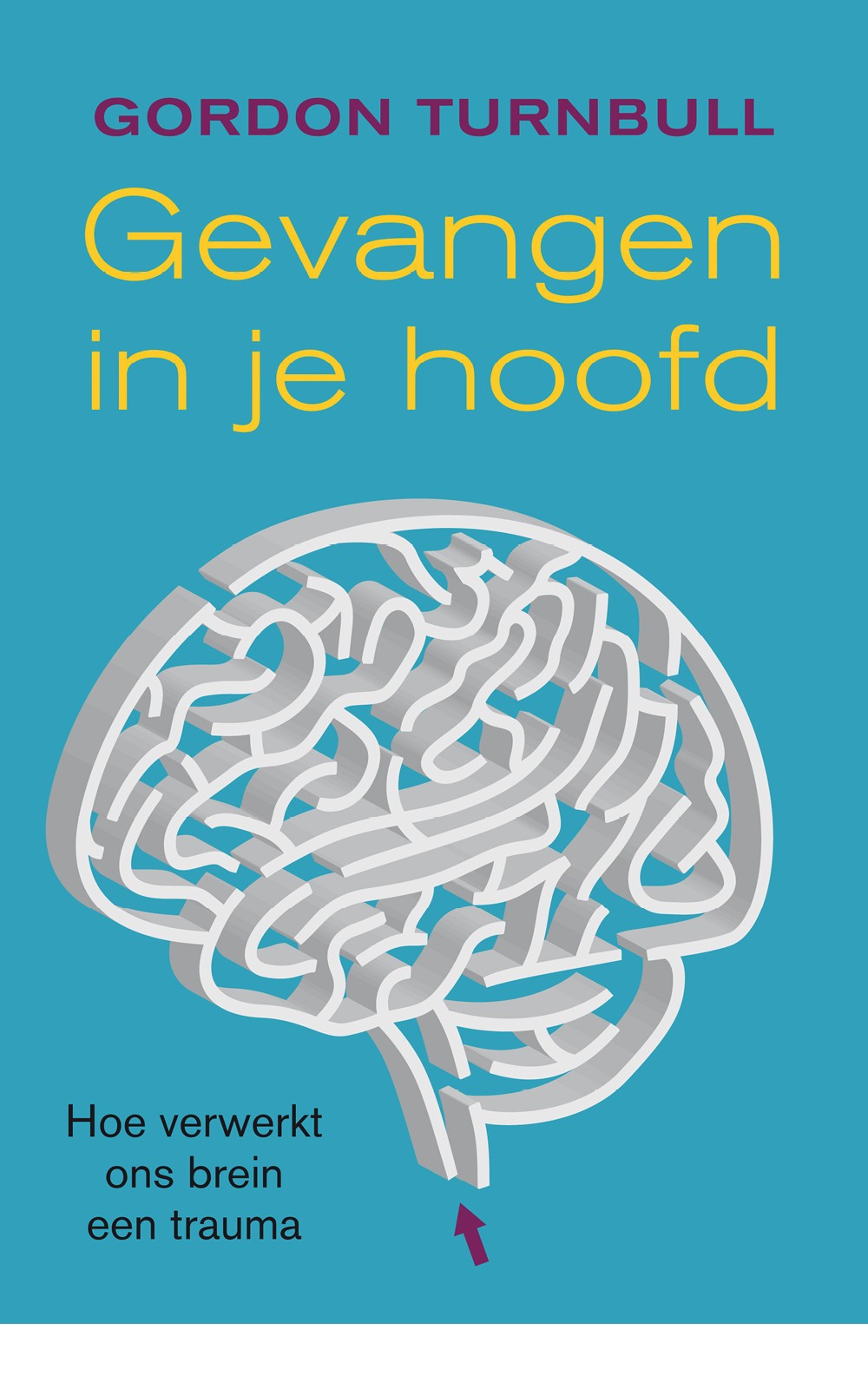 Gevangen in je hoofd