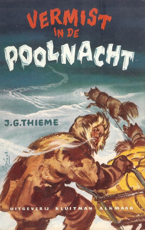 Vermist in de Poolnacht