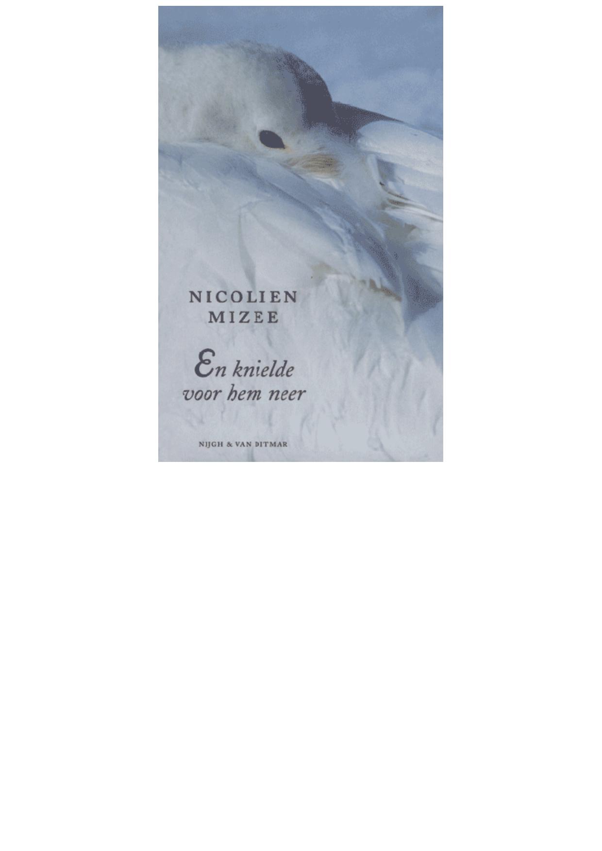 En knielde voor hem neer