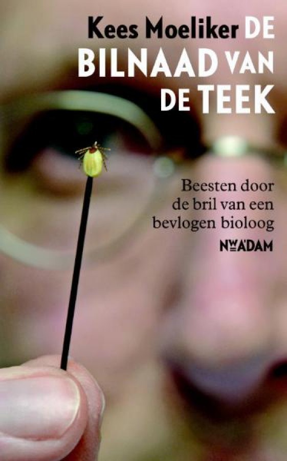 De bilnaad van de teek