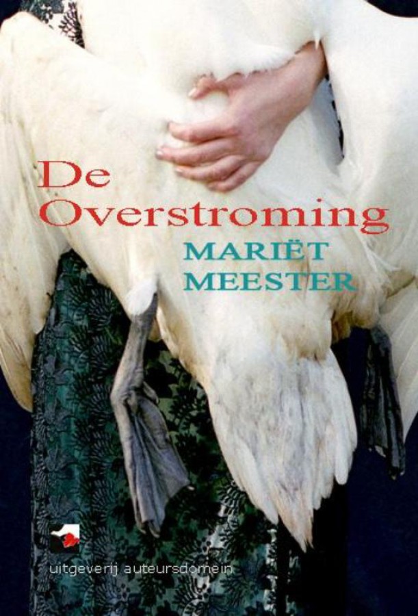 De overstroming