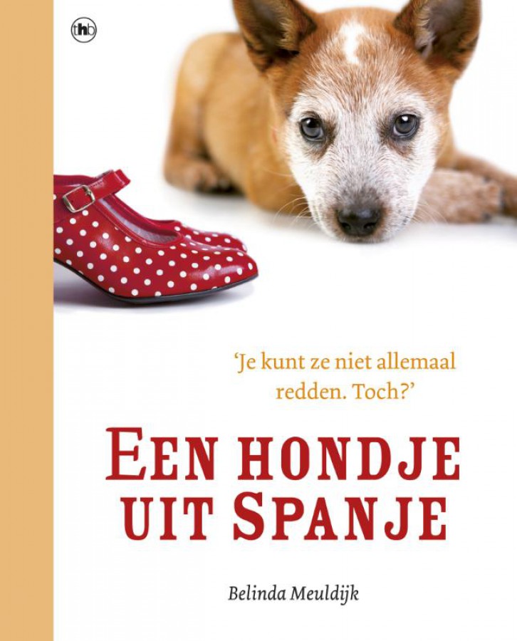 Een hondje uit spanje