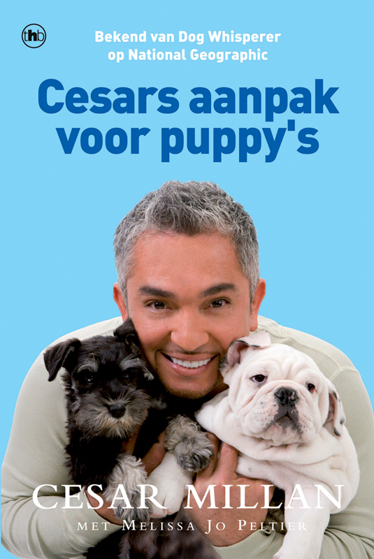 Cesars aanpak voor puppy's