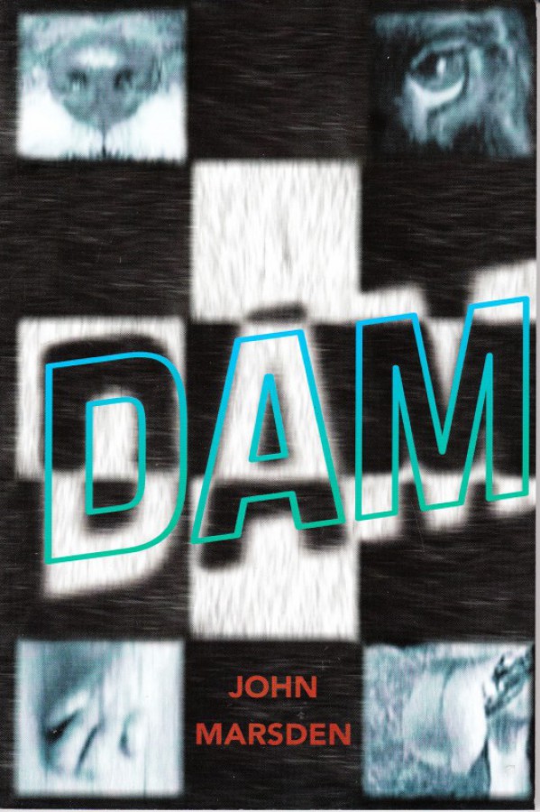 Dam