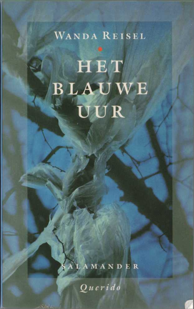 Het blauwe uur