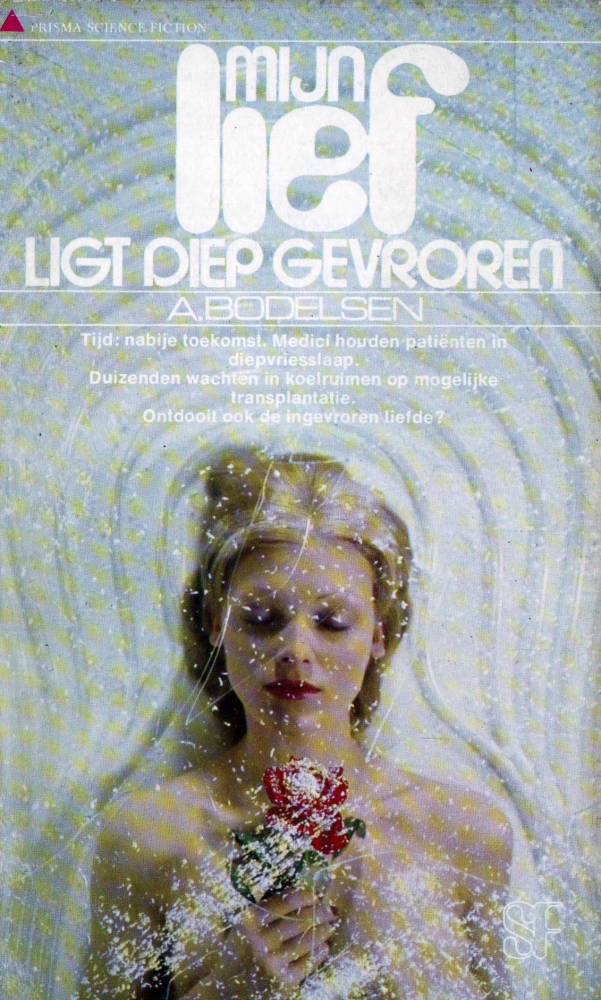 Mijn lief ligt diep gevroren