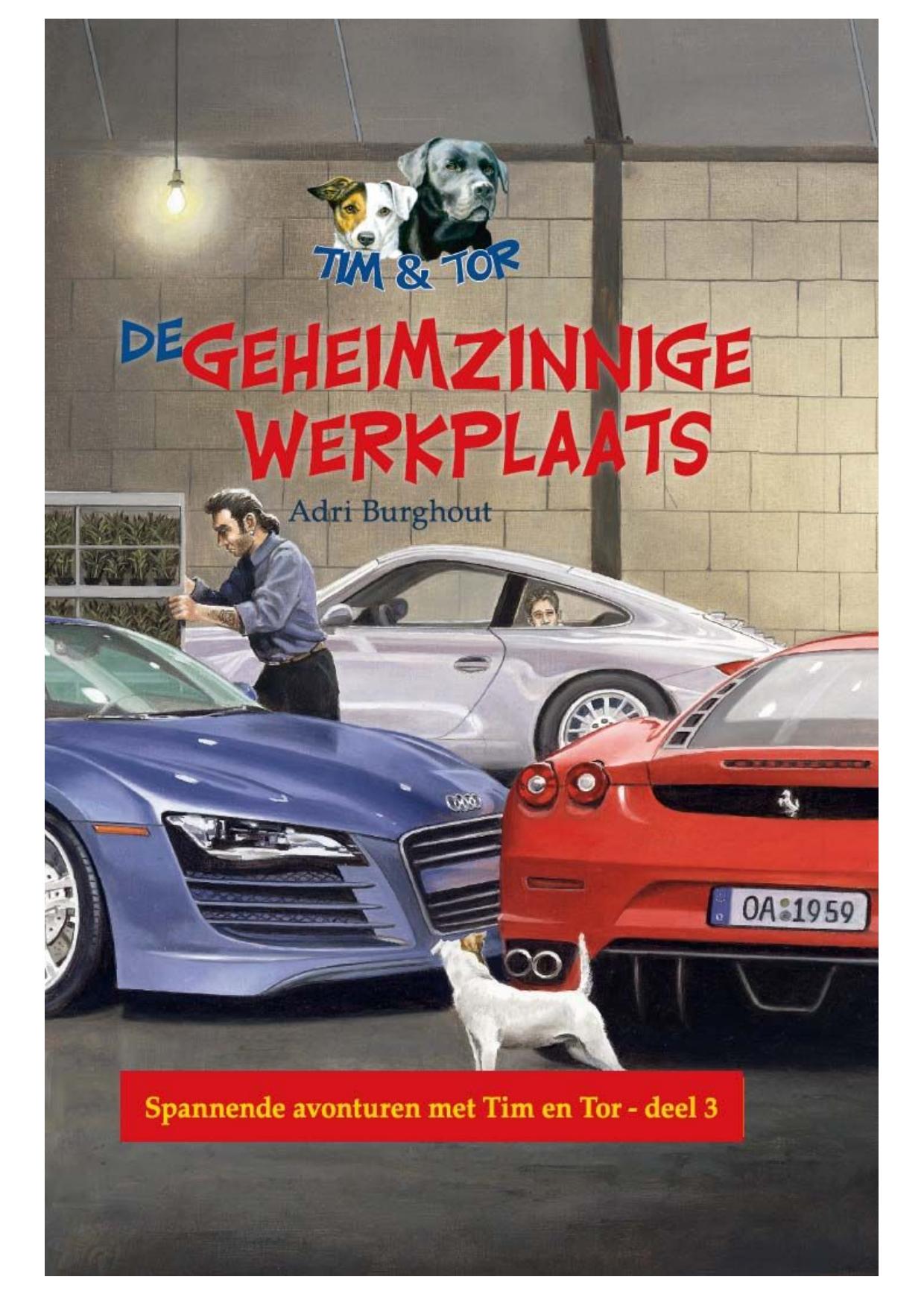 De geheimzinnige werkplaats
