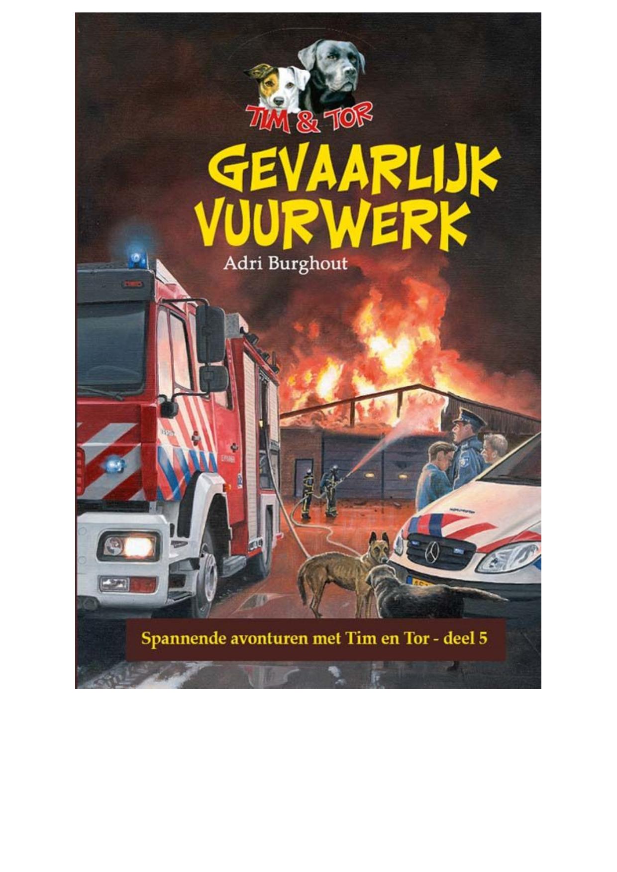 Gevaarlijk vuurwerk