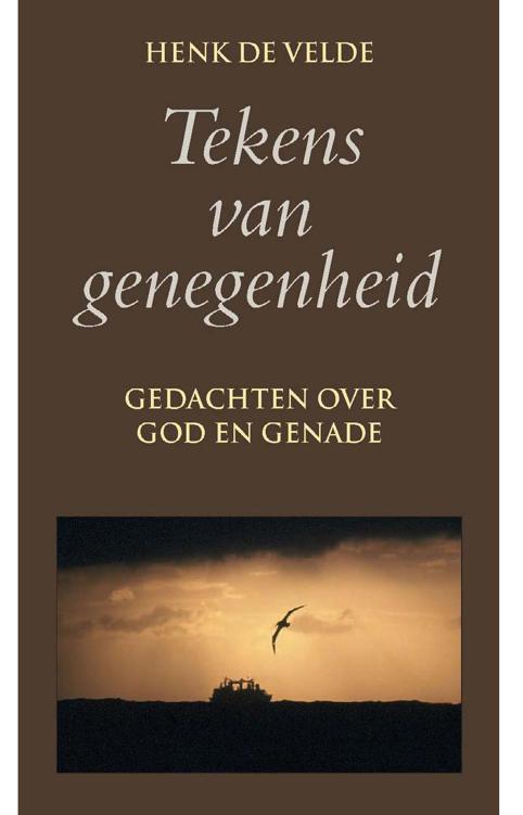 Tekens van genegenheid: gedachten over god en genade
