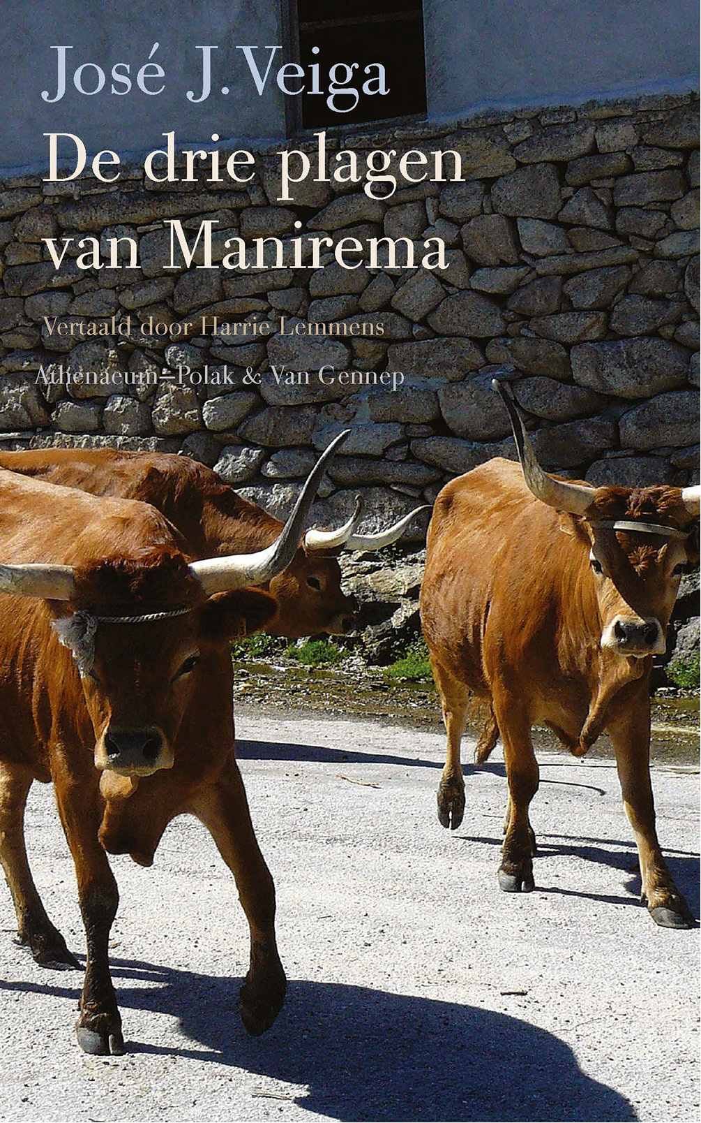 De drie plagen van Manirema