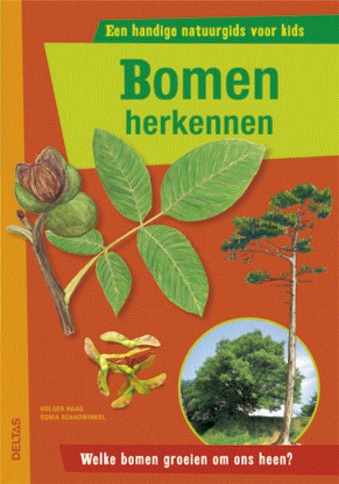 Bomen herkennen