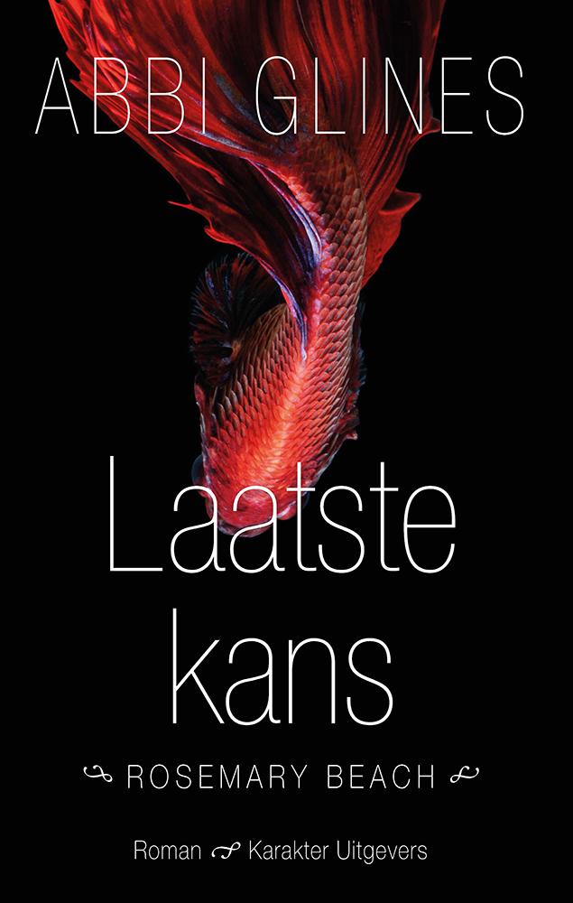 Laatste kans