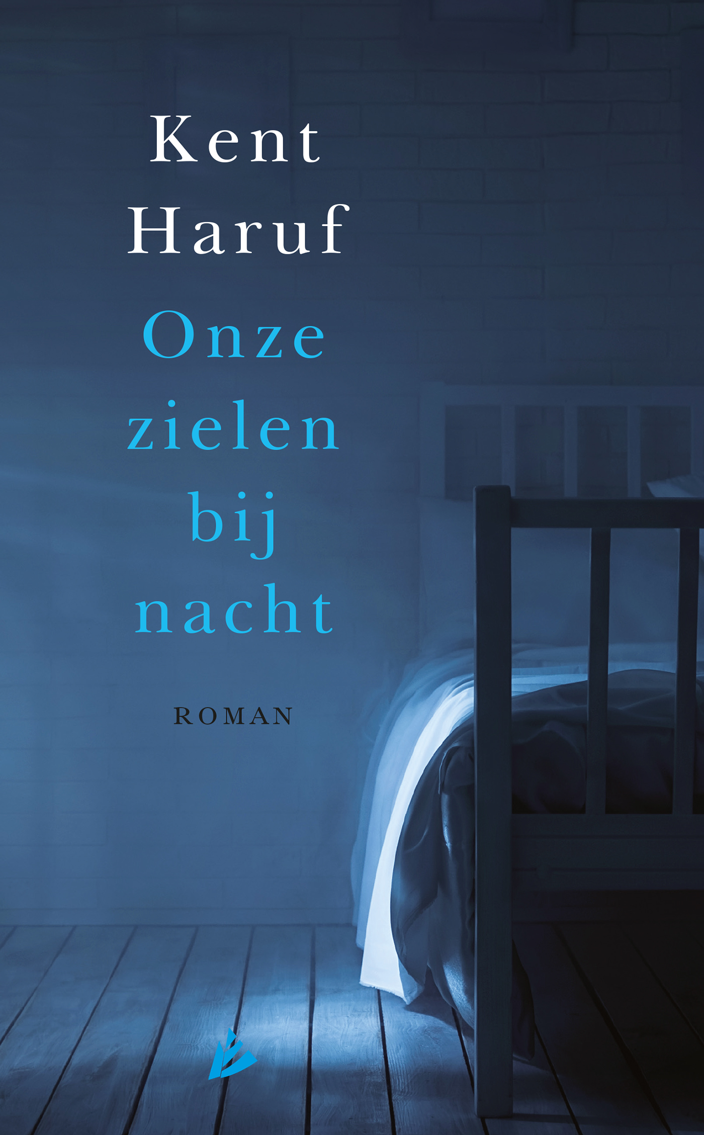 Onze zielen bij nacht