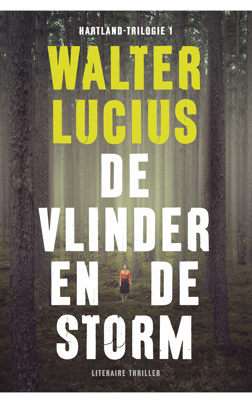 De vlinder en de storm