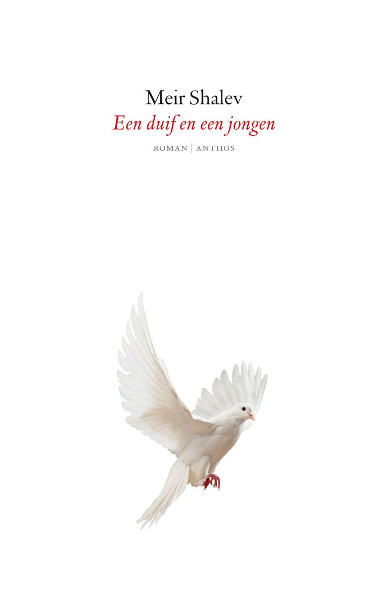 Een duif en een jongen