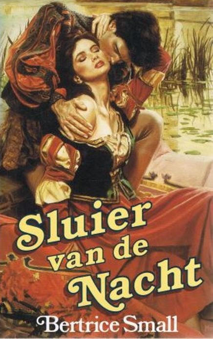Sluier van de nacht