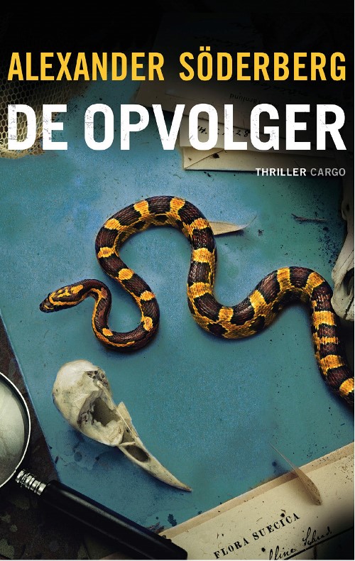 De opvolger