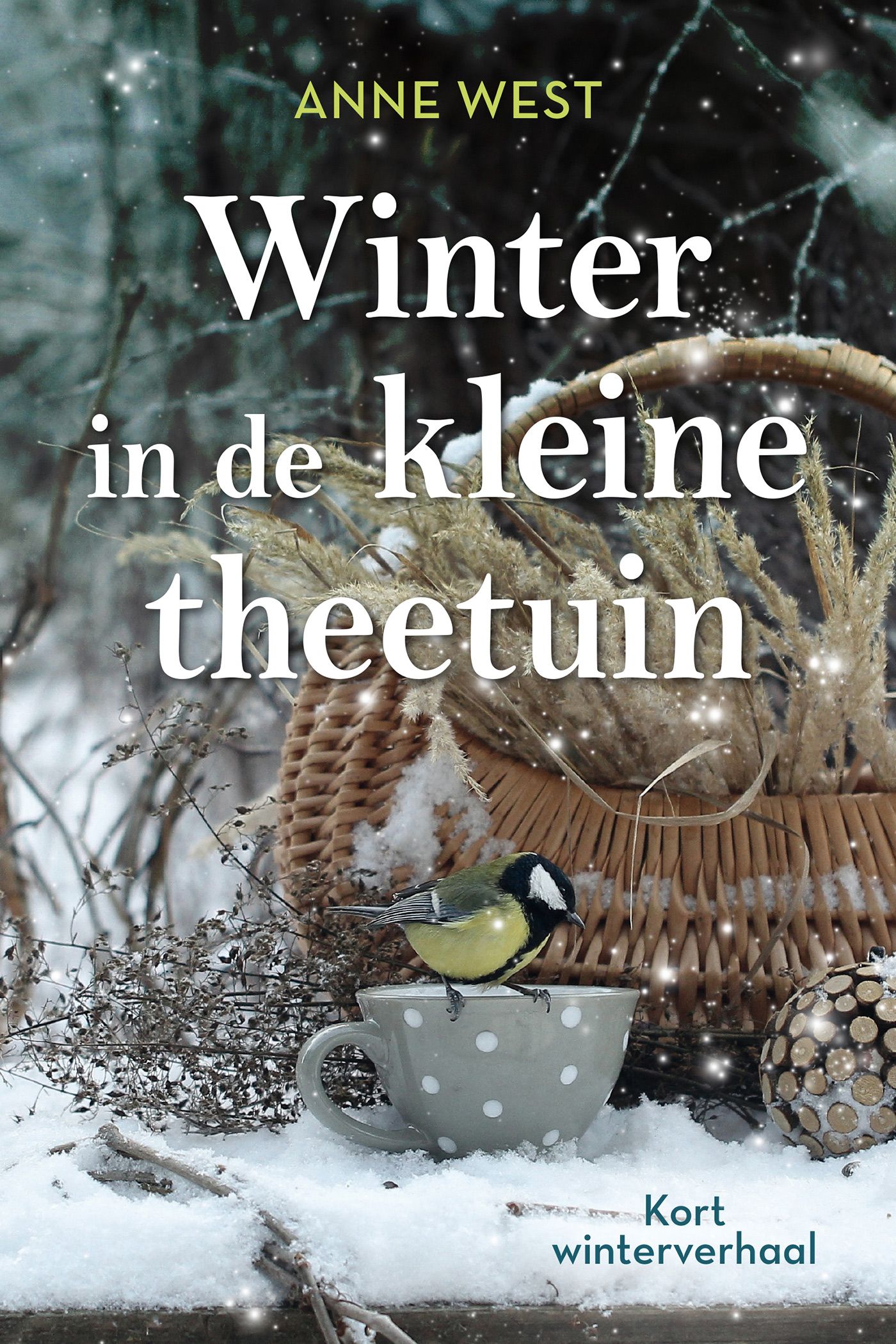 Winter in de kleine theetuin