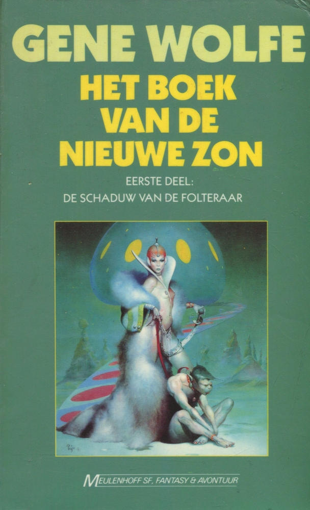 De schaduw van de folteraar